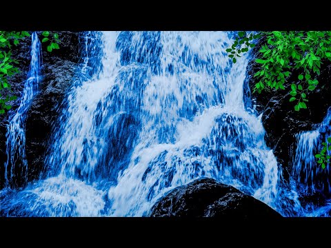 YouTube에서 White Noise Waterfall Sounds for Sleeping Live Stream 보기