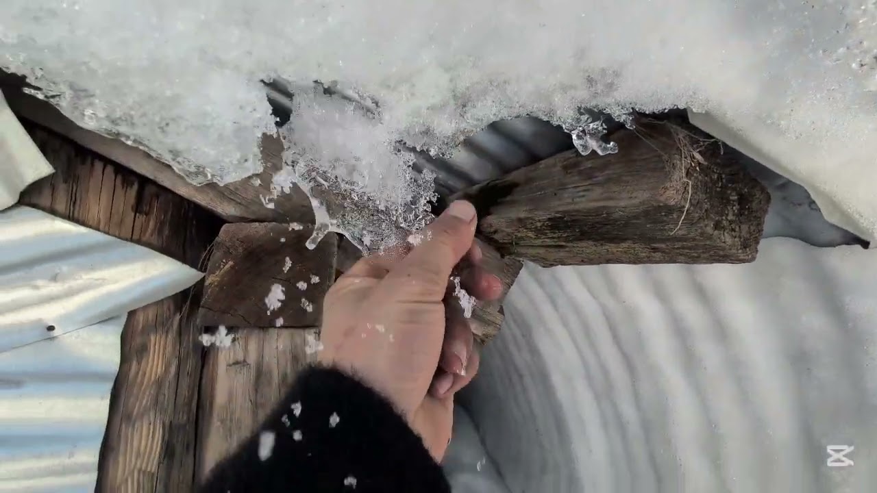 Freezing gone death vlog snow and treavling 