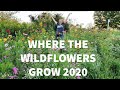 Where the WILDFLOWERS grow! Field of Wildflowers 2020