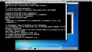 Layer-2 Pivoting Demonstration