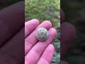 Metal detecting around the witness tree pt 2  more relics lost by union soldiers metaldetecting