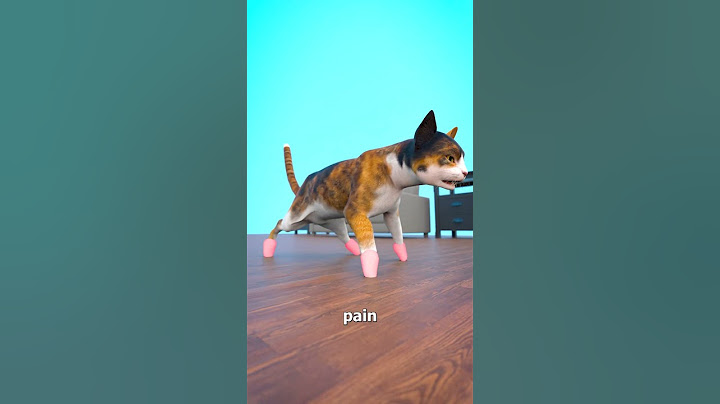 Don't Declaw Your Cat 😰