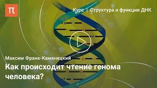 Определение последовательности ДНК — Максим Франк-Каменецкий