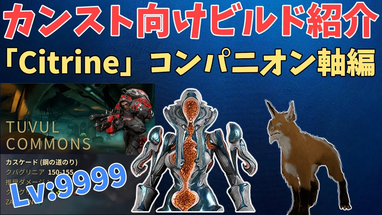 【Warframe】カンスト向けビルド紹介その7 「Citrine」コンパニオン軸編　VoidCascade Lvcap Chroma Solo