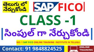 DAY 1 తెలుగులో SAP FICO డెమో| SAP FICO/HANA Introduction  SAP FICO Demo Class   SAP Introduction