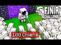 J'ai essayé de finir Minecraft avec 100 CHIENS... (ils sont débiles)
