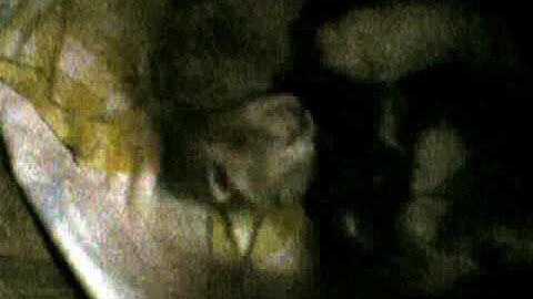 Super Mario Land - The Angry Video Game Nerd