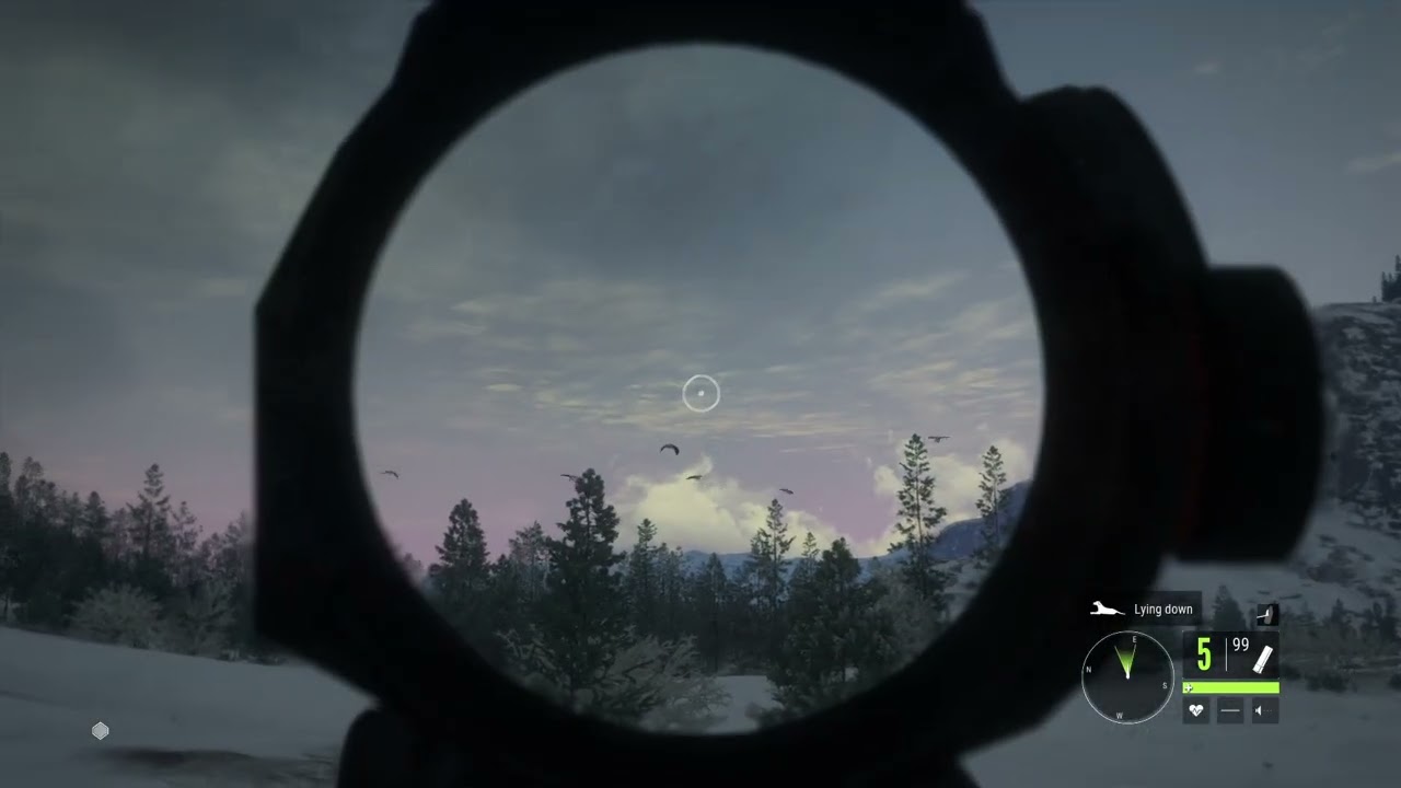 Melanistic Snow Goose: theHunter: Call of the Wild