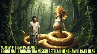 Download Lagu KISAH BUJANG TUA MISKIN MAGELANG DIHINA,DIUSIR,NASIB BERUBAH SETELAH MENGHAM!LI RATU ULAR CANTIK MP3