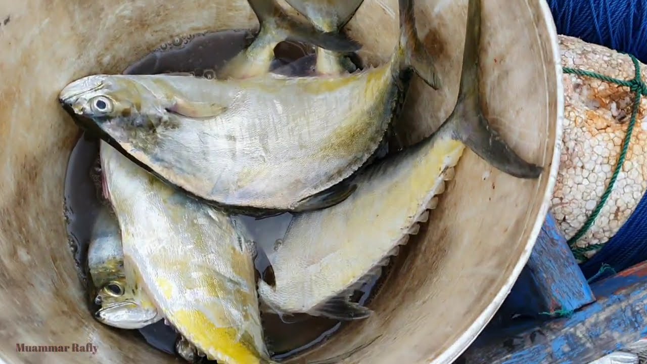 Mancing UL Pakai micro jig di rumpon laut dangkal