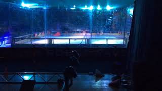Robot Wars World Championships Colchester 2015: Thor Vs Nuts