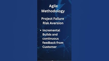 Agile Project Failure Risk aversion