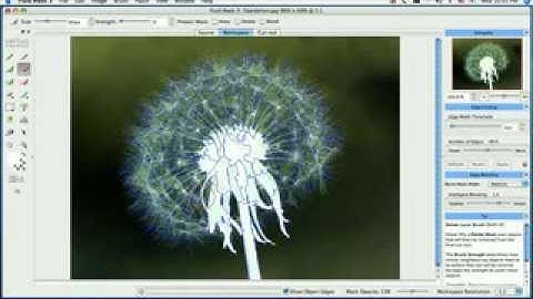 Fluid Mask 3 - Inverting the Image