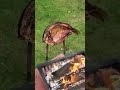 Grill Fish Iraqi Style السمك المسكوف في أمريكا