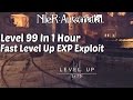 NieR Automata - Level Up Fast | EXP Exploit Level 99 in 1 Hour or Less