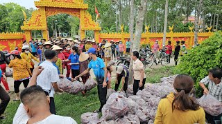 Tại chùa Cây Trôm tặng 4 tấn khoai lang cho người dân khó khăn [21 tháng 5, 2024] by Cuộc Sống Quê Miền Tây 1,425 views 11 days ago 15 minutes