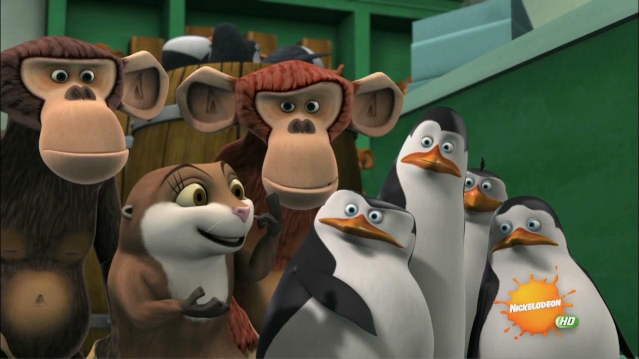 пингвины мадагаскара никелодеон. Penguins of madagascar пингвины мадагаскара 2014. The penguins of madagascar мультсериал. пингвины мадагаскара penguins of madagascar. пингвины из мадагаскара мультсериал 2008.