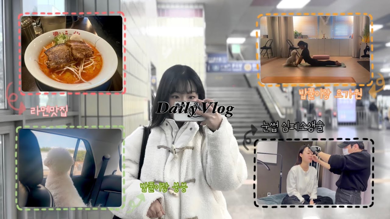 VLOG | 강아지랑 요가 | 1:1 요가 | 잠실 | 반영구 | 눈썹문신 | 험난했던 서울행 | 호다닥 휴무 순삭 | 일상 브이로그