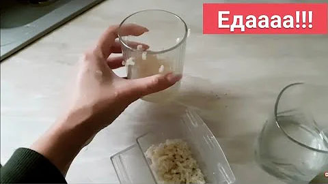 Чем я кормлю попугаев кроме корма. Какой наполнитель на дне клетки