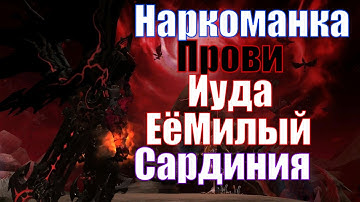 DN TOP PvP [Oracle Elder, MoonLord, Dark Avenger, Majesty]