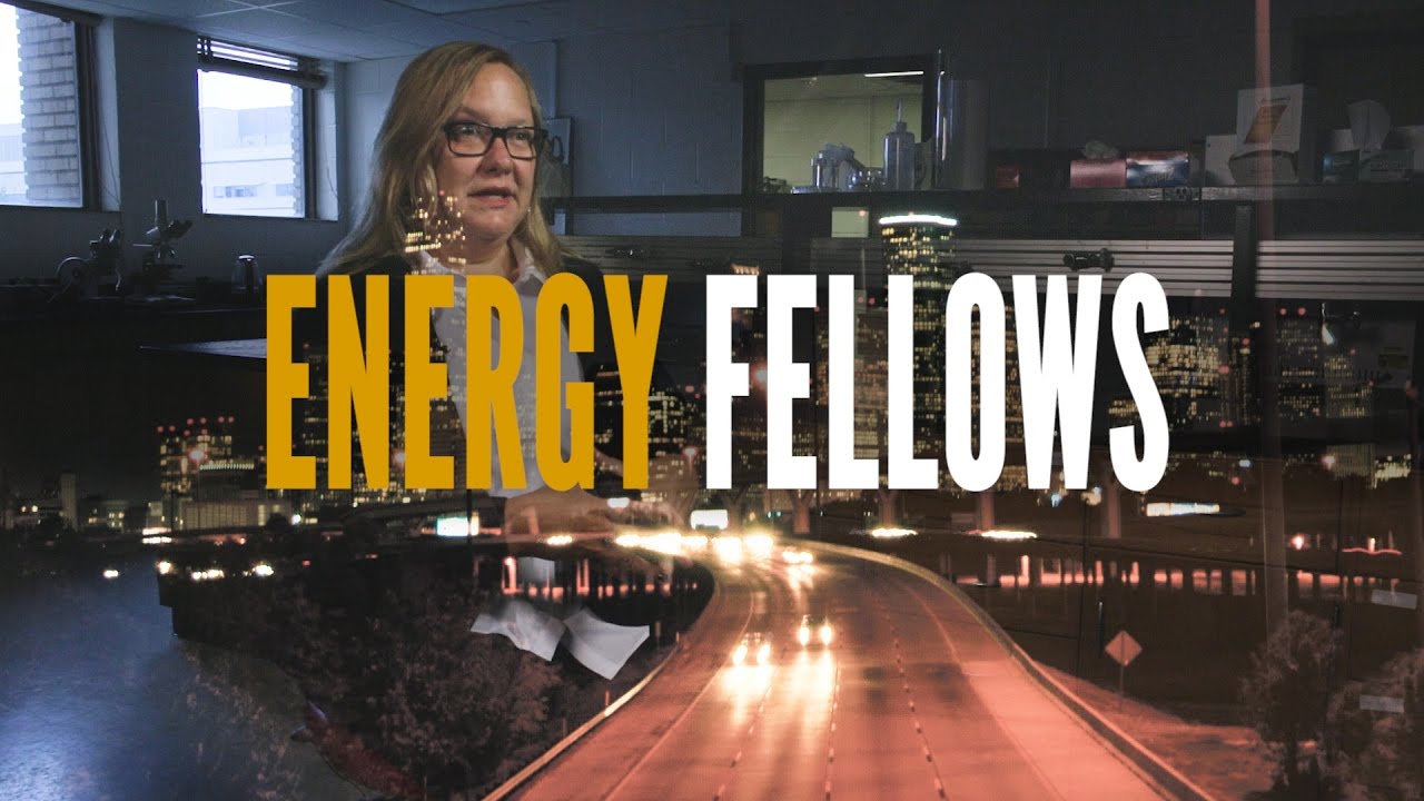 UH Energy Fellows