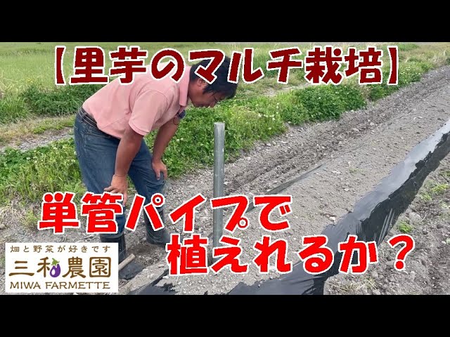Can I plant 