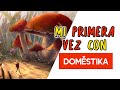 Mi primera vez con DOMESTIKA ¿Ya soy nivel asiático?