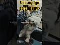 Berjuang Dengan Caranya Masing² ‼️ #cat #quotes #quoteoftheday #quote #berjuang #selfreminder