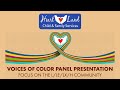 Voices of Color Panel Presentation