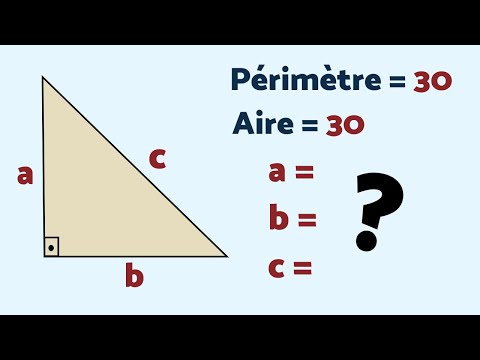 Vídeo: Què és el reflex d'un triangle?