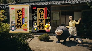 CMで流れた演歌の名曲。CMオリジナル楽曲もあわせて紹介!