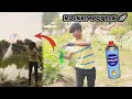 Bottle flyingii butane gas experiment ii school pasanga