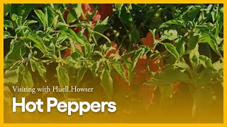 Hot Peppers | Visiting with Huell Howser | KCET