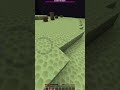 que loco #minecraft #minecraftshorts #Willirexcalvo