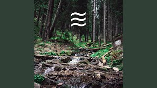 Placid Rainfall Sounds
