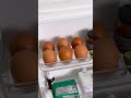 Secret Jewelry Storage Idea 🥚💎 #DIY