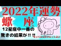 【さそり座の運勢2022年】12星座一番の驚きの結果が!!健康運・金運・愛情運・仕事運【🍀幸運のタロット占い】