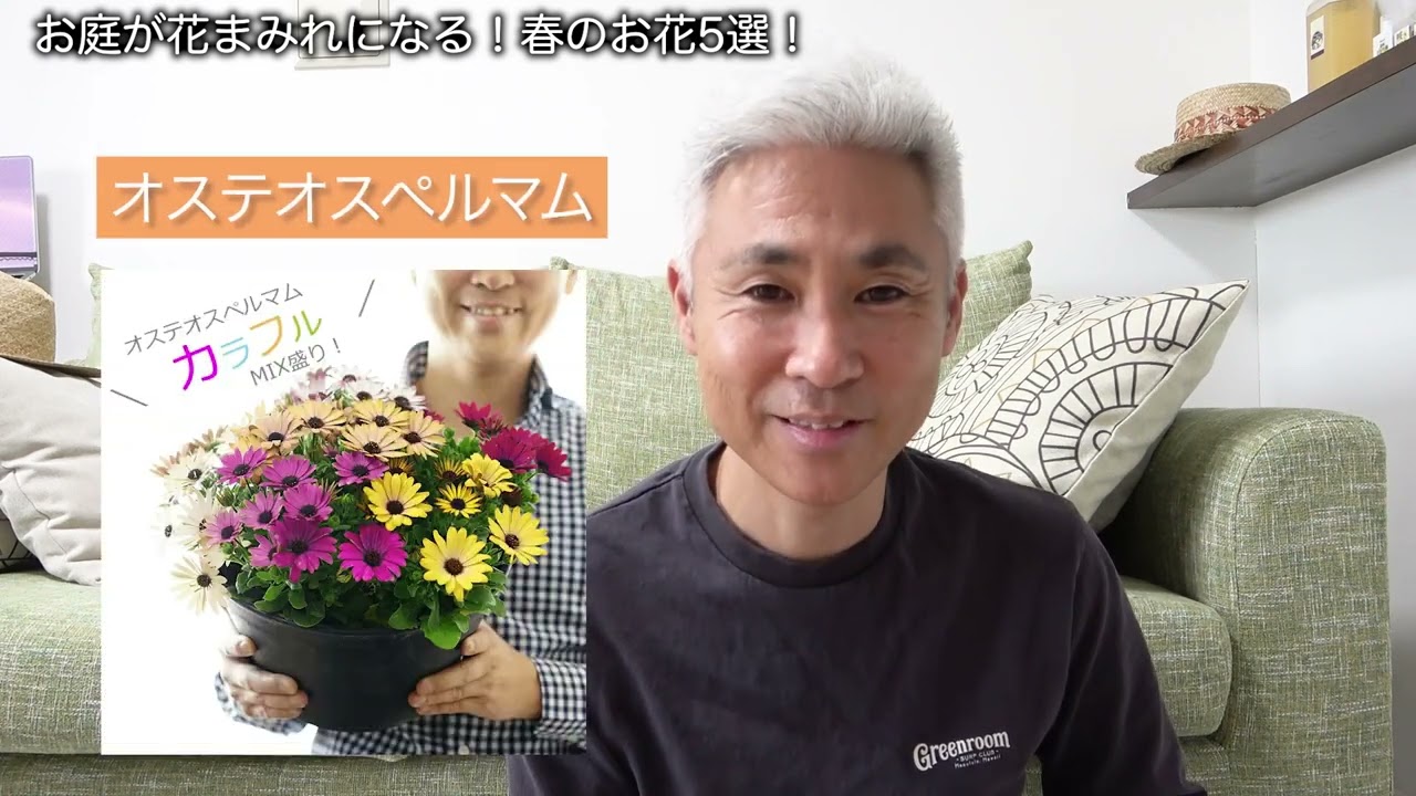 Your garden will be covered in flowers! 5 spring flowers to choose