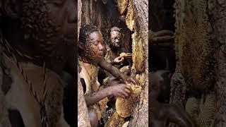 Covered in Bees While Eating Honey 😳 You Won’t Believe This Tribal Moment 🔥 | मधुमक्खियों के बीच शहद
