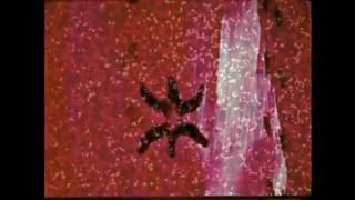 Allegro con brio (Helminski)