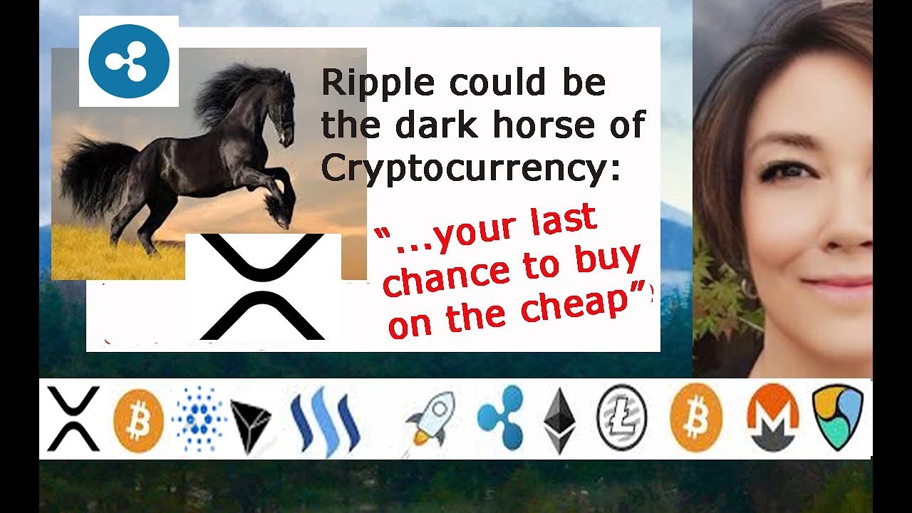 Ripple could be the dark horse Cryptocurrency of 2018, SWIFT in Japan, XRP  Weiss Ratings Poll