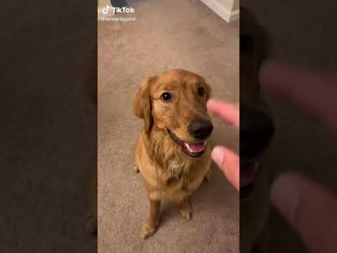 HEY GET THE F CK OUTTA HERE ORIGINAL 