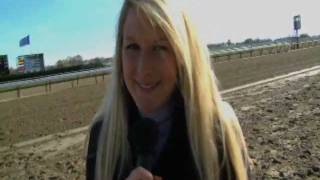 Backstretch Buzz - Who's your choice for 2011 3-Year-Old Male and Horse Of The Year