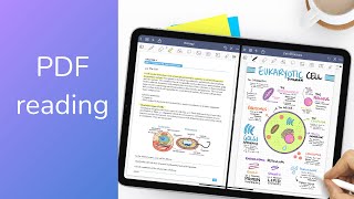 READ PDFs, GoodNotes 5| iPad 2021