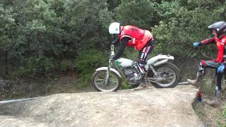 00815Blai Ossa