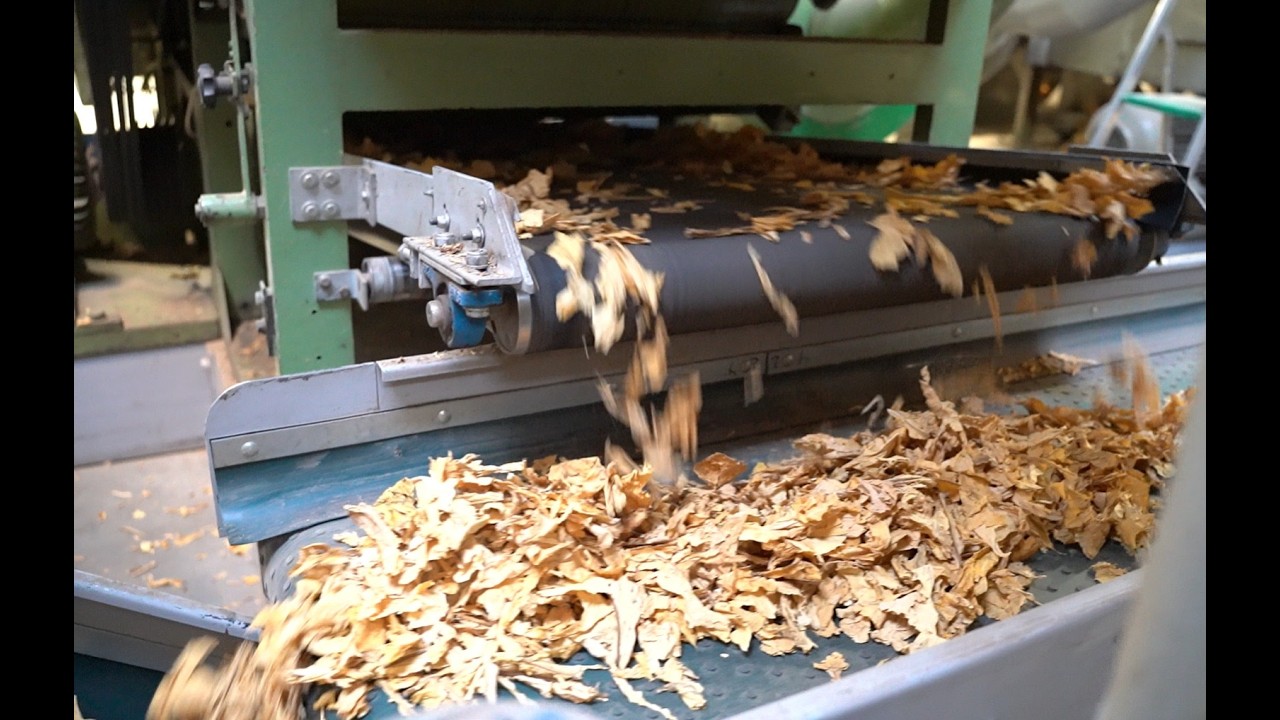 tobacco threshing machine USED GLT | Green Leaf Threshing | Tobacco Threshing Line Capacity - 1500