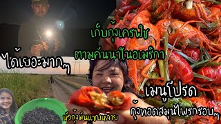 EP.173 🦞🦞เก็บกุ้งเครฟิชตามคันนาในอเมริกา เจอดงกุ้งเยอะและสนุกมากๆ🦞🦞🦞