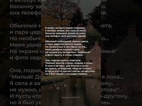 Я видел сегодня седую старушку | Дияр Юсупов #поэзия #стихи