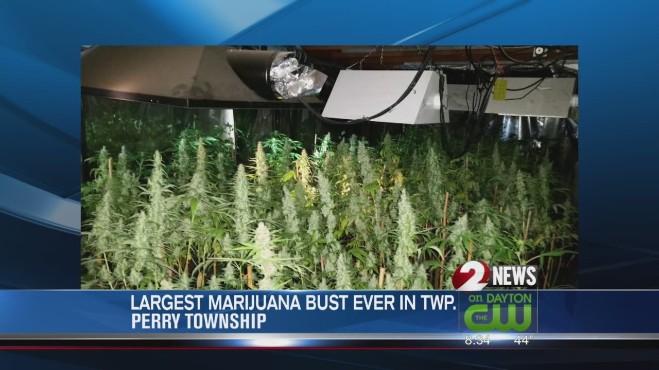 Largest marijuana bust ever in Twp