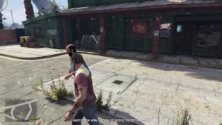 Drunk As A Skunk By The Alamo Sea - Grand Theft Auto V